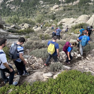 management climbing in the mountains